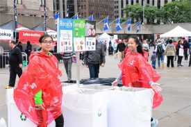 Green Turns to Gold at the Scotiabank Toronto Waterfront Marathon