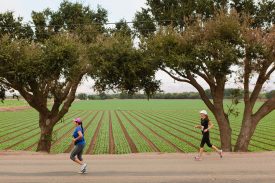 Salinas Valley Half Marathon Returns After 2016 Cancellation Due to Fire Conditions