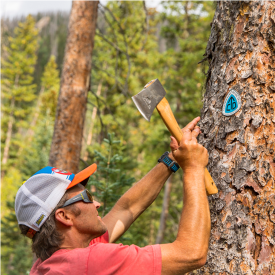 Big Agnes and Honey Stinger Staff to Hike Continental Divide Trail Across Colorado