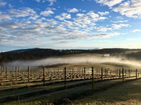 Ultra Race of Champions (UROC) to Start and Finish on Skylark Summit