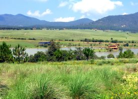 XTERRA heads to tequila country of Tapalpa, Jalisco for XTERRA Mexico