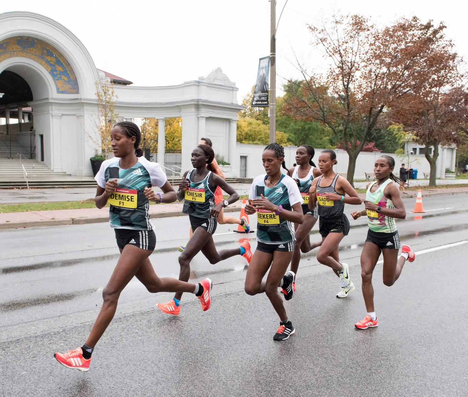 Toronto Waterfront Marathon Elevation Chart