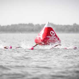 Zootsports Is the Official Swim Course Sponsor for THE CHAMPIONSHIP