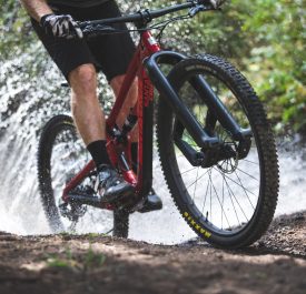 Trust Performance Establishes Initial Global Distribution Channels